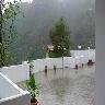 Kasauli Pines Homestay