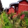 Himalayan Village Sonapani